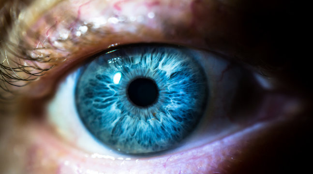 Close up, human eye