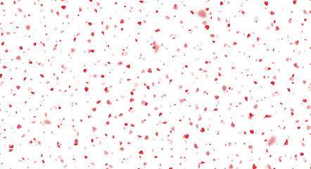 Valentines Day background of red hearts petals falling on white background