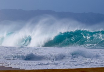 North Shore Winter Waves