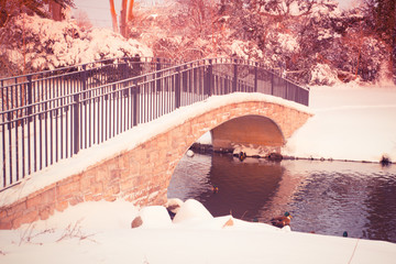 Beautiful snowy winter pond with footbridge with vintage tone filter