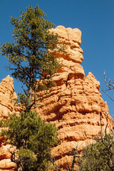 hoodoos near bryce cANYON