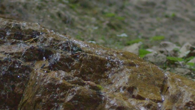 closeup slow motion clear transparent water of mountain river runs over big brown rocks against green grass