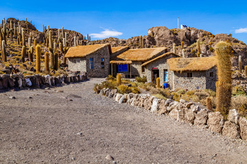 Isla Incahuasi (Cactus island) in Uyuni Bolivia