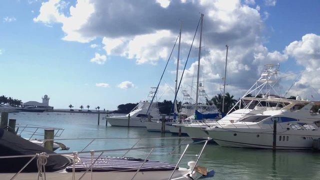 Luxury yachts in marina at summer
