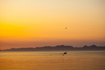 fishing boats silhouetted against a golden sunrise Sea of Cortez 