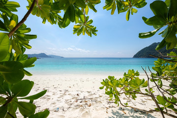 Landscape of sea sun sand beach under blue sky with green tree l