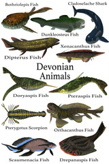 Devonian Animals - A collection of various aquatic animals that lived during the Devonian Period of Earth's history.