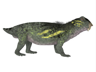 Lytrosaurus Side Profile - Lystrosaurus was a dicynodont therapsid dinosaur that lived in the Permian and Triassic Periods of Antarctica, India, Africa, China, Mongolia and Russia.