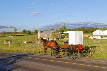 Obraz premium An Amish Horse and Carriage Travels on a Rural Road