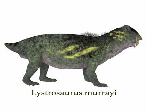 Lystrosaurus Dinosaur with Font - Lystrosaurus was a dicynodont therapsid dinosaur that lived in the Permian and Triassic Periods of Antarctica, India, Africa, China, Mongolia and Russia.