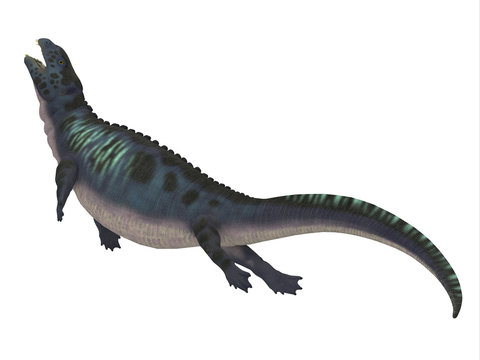 Placodus Dinosaur Side Profile - Placodus was a marine reptile that swam in the shallow seas of the Triassic Period in Europe and China.