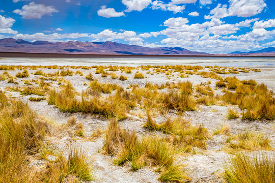 Eduardo Avaroa National Reserve In Bolivia