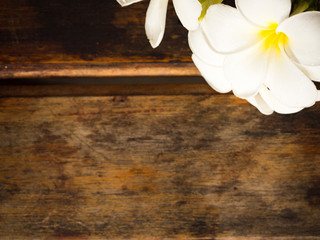 Plumeria flower on wooden background
