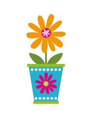 beautiful flower in a pot over white background. colorful design. vector illustration