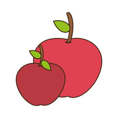 colorful drawing set collection apple fruits vector illustration