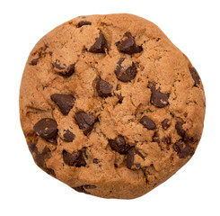 Chocolate chip cookie