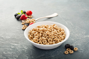 Healthy cold cereal in a white bowl
