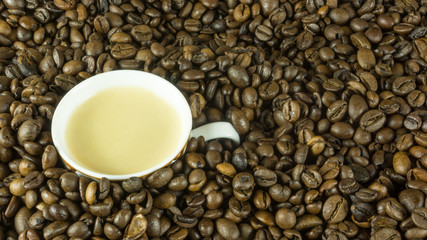 Fresh roasted coffee beans with a cup of coffee