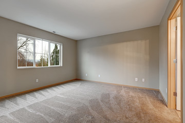 Empty room interior in grey tones with carpet flooring