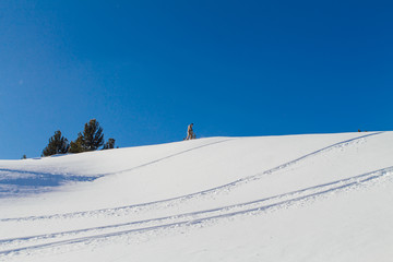 Snowboarder riding fresh snow.