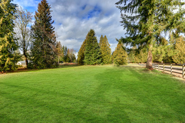 Fototapeta na wymiar Spacious fenced backyard filled with green grass