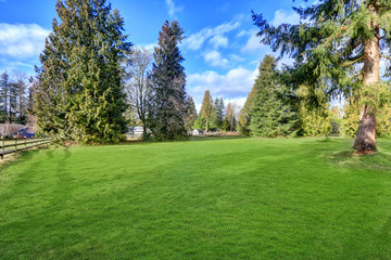 Spacious fenced backyard filled with green grass