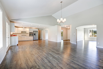 Spacious rambler home interior with vaulted ceiling - obrazy, fototapety, plakaty