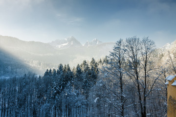 Snowy Bavarian Alps at foggy morning, Bavaria, Germany.