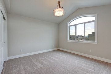 Empty grey room interior with vaulted ceiling