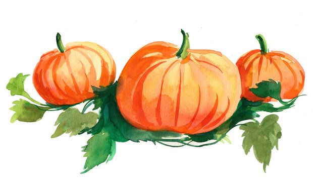 Watercolor pumpkins