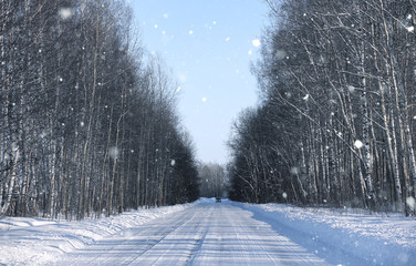 Fototapeta na wymiar snowy on empty rural road in forest in winter day