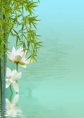 Fotobehang composition zen détente,  lotus ,bambous, reflets  © Unclesam