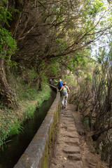 Obraz premium Tourist is walking along levada canal. Madeira island, Portugal
