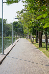 walkway in alley garden