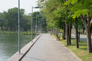 walkway in alley garden