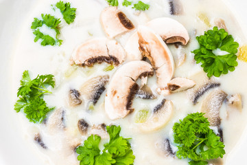 Mushroom Soup Detail with Green Parsley Leaves