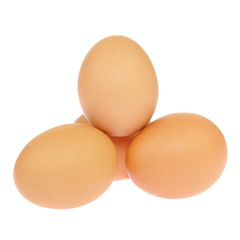Chicken brown eggs