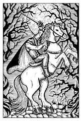 The Headless Horseman. Engraved fantasy illustration. Mythical collection - obrazy, fototapety, plakaty