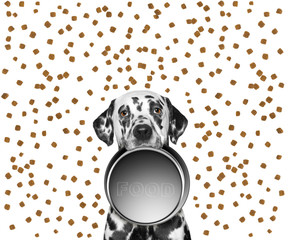 portrait of a cute dalmatian and his food bowl - obrazy, fototapety, plakaty