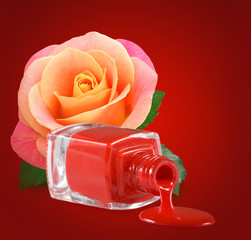 isolated image of red nail polish,flower roset on red background