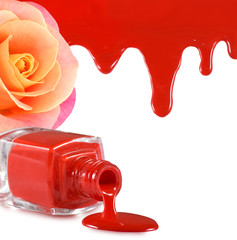 image of red nail polish,flower rose and heart on a white background