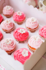 cupcake packaging delivery box vanilla cupcakes with pink and white cream 