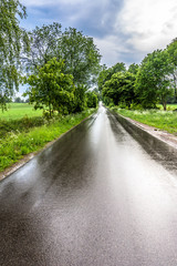 Fototapeta na wymiar Wet road after rain in countryside scenery of fields, rural landscape