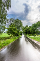 Fototapeta na wymiar Country road, wet after rain in scenery of rural fields at spring, landscape