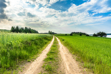 Rural road, field and sky with clouds. Moody landscape with spring green grass of young cereal crops, countryside scene