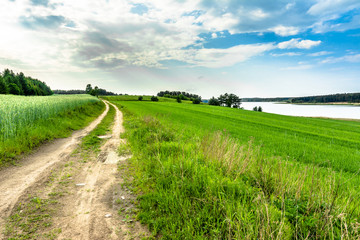 Green field and country road, rural landscape over lake, spring grass surrounded