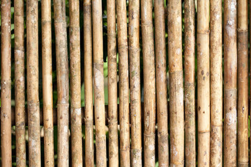 bamboo Fence
