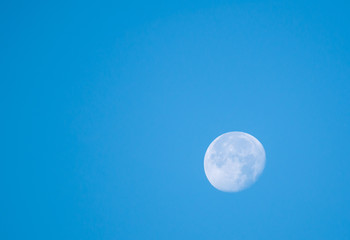 Obraz na płótnie Canvas the near full moon on blue sky background in day light