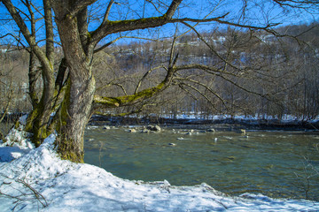 Winter mountain river beautiful landscape