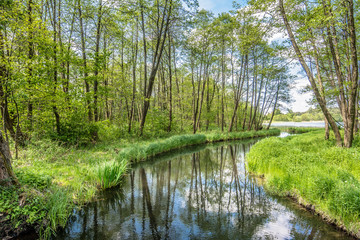 Spring landscape with green forest and river flowing into the lake